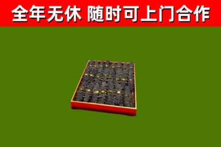 伊犁回收海参